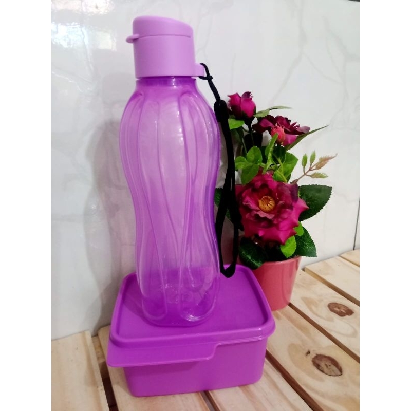 Kit Basic Line + Ecotupper Tupperware. | Shopee Brasil