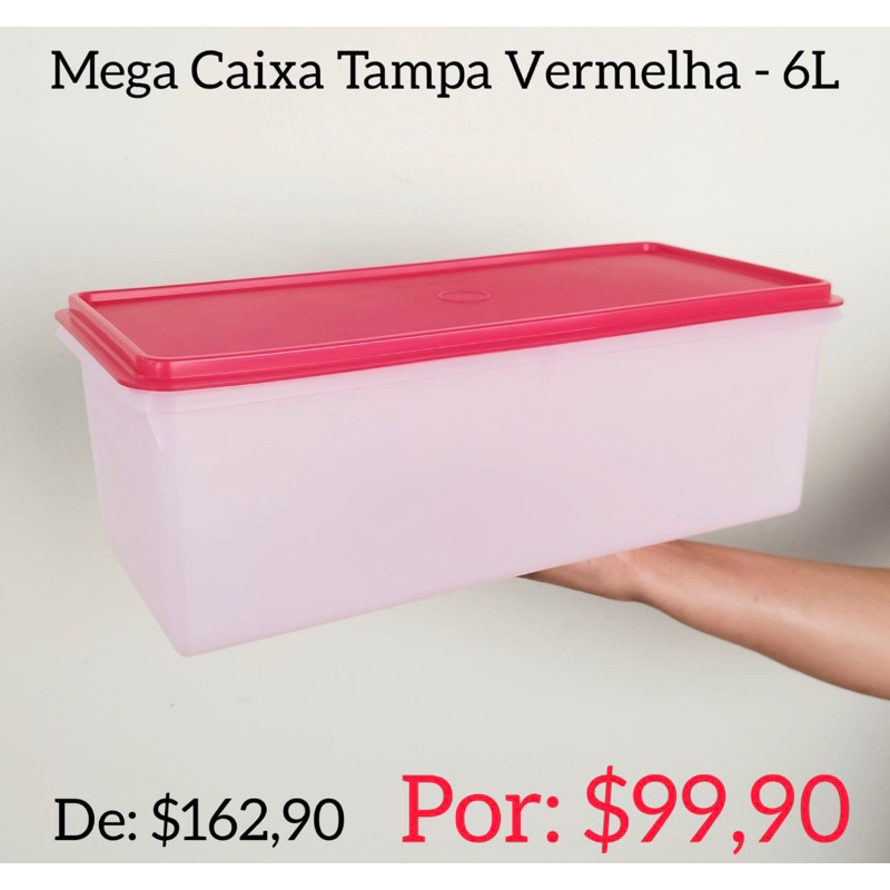 Caixa Freezer 6 L Tupperware Completa OU Acessórios de Reposição