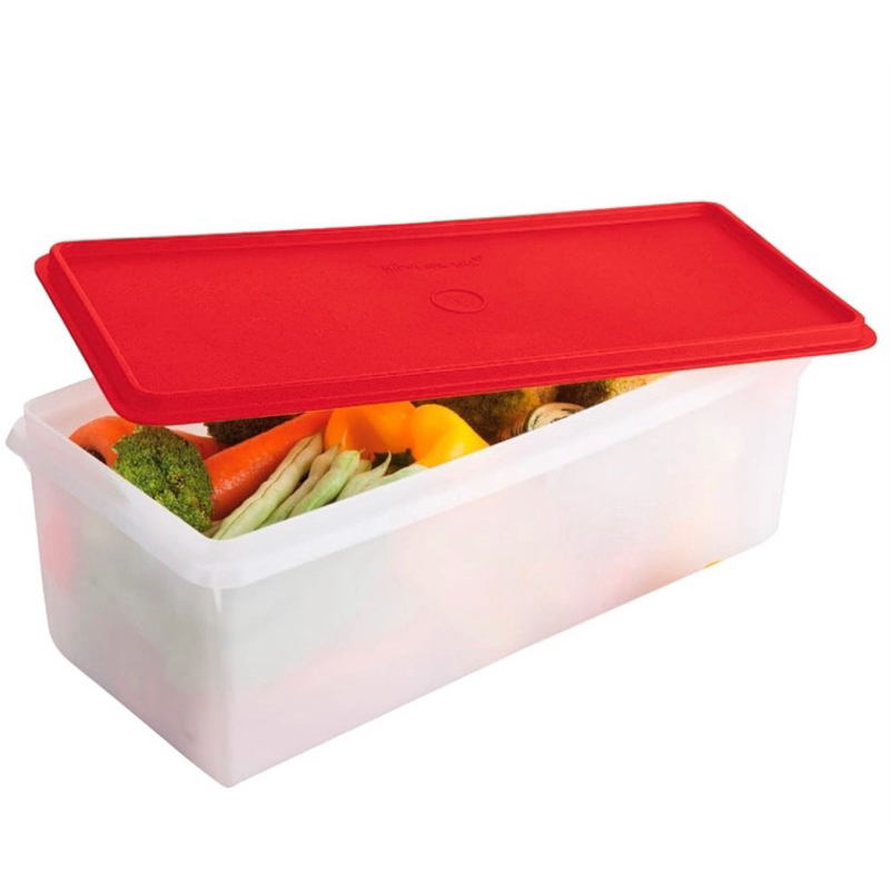 Caixa Freezer 6 L Tupperware Completa OU Acessórios de Reposição