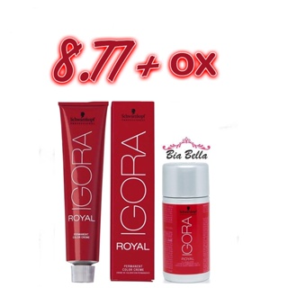 Kit Coloração Ruivo Igora 8.77 + Ox 60ml Schwarzkopf