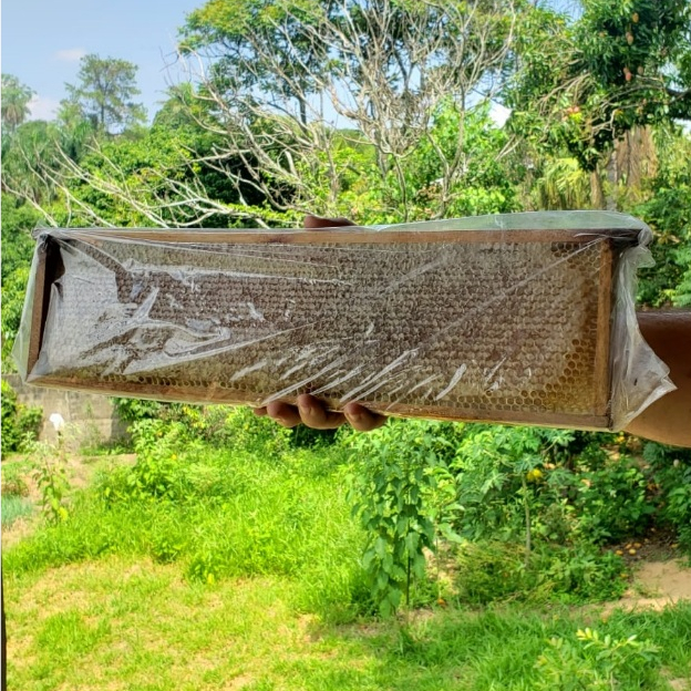 Tapete Areia Gatos Petinstinct - Extra Grande 114x66cm, Dupla Camada Favo Mel, Impermeável