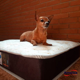 Colchão cama pet para Cães Gatos e Cachorro - COLCHOPET - 70cm X 70cm X 10cm