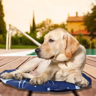 Tapetinho Caminha Pet Para Cachorro e Gato Termica Gelada Refrescante Azul 60cm ENVIO IMEDIATO