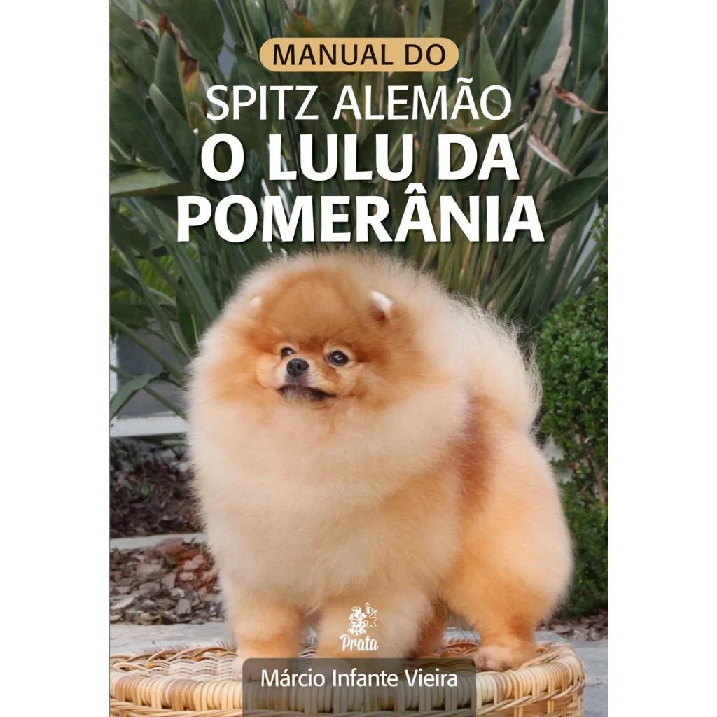 Raças de cães - Lulu da Pomerânia