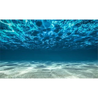 Painel Adesivo Aquário Fundo Do Mar Parede Decoração 120x70 cm