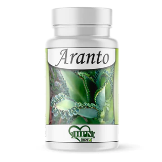 Aranto ( Mãe de milhares) medicinal natural cápsulas/500mg kit 4 potes