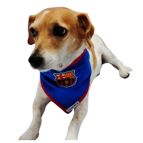 Dog Collar Fc Barcelona Dog Bandana Barcelona FC Dog Jersey 25/26