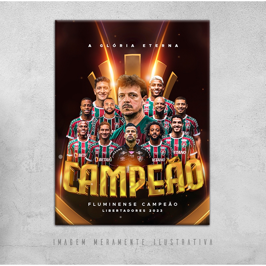 Quadro Fluminense Campeão Libertadores 2023