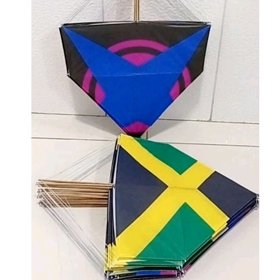 Cafifa, papagaio, PIPA Vandas 50 cm ótima qualidade 50 uni | Shopee Brasil