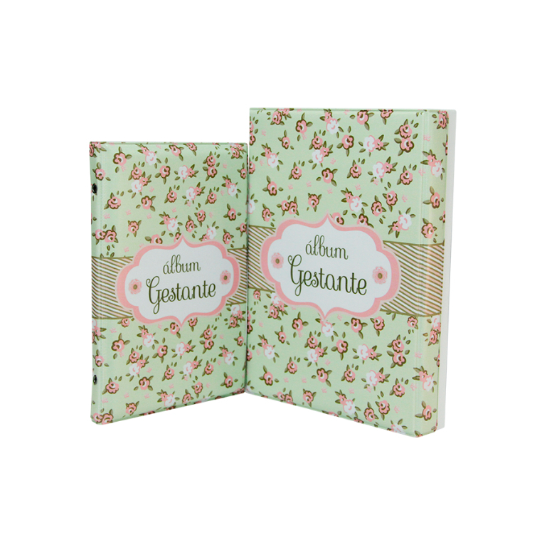 Álbum Gestante: Guia Completo e Onde Comprar | BuscaProdutos