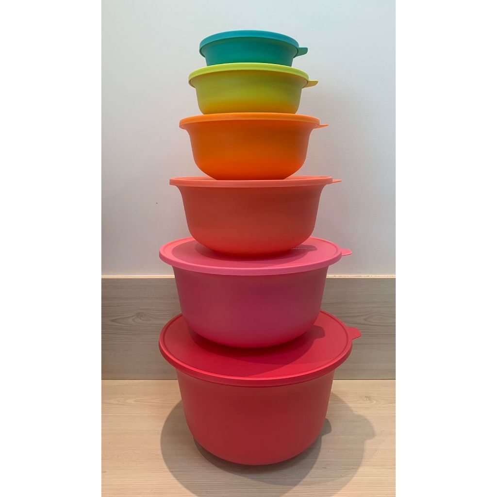Jeitosos e jeitosinhos cores e tamanhos diversos Tupperware em Promoção na  Shopee Brasil 2024