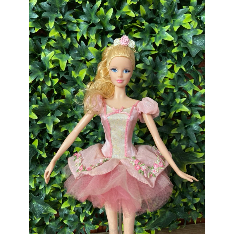 Barbie ballet best sale wishes 2018