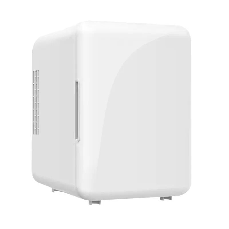 Mini geladeira, 4l, 110 a 220V, uso no carro ou em casa. | Shopee Brasil