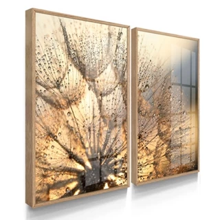 Quadros Decorativos Com Molduras Dente De Leão Luxo