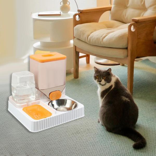 Alimentador de Ração e Água Automático para Cães e Gatos