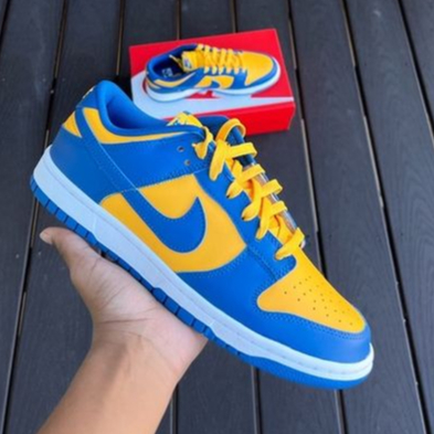 Tênis Nike SB Dunk Low Pro Premium Casual Skate Masculino Cano Baixo -  Corre Que Ta Baratinho