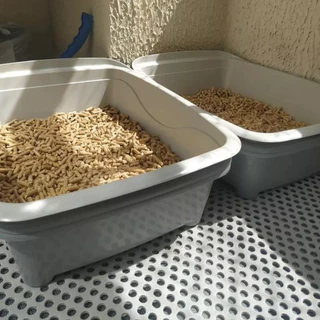 Caixa de Areia Para Gatos Pets Banheiro Cama Bandeja Higiênica Sanitário Toalete Cat Plus Furacão Pet Pá Paneira Comedouro Plástico