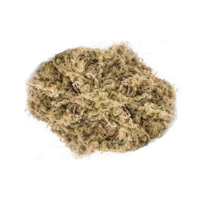 1kg = 40 Litros Musgo De Esfagno Substrato Orgânico