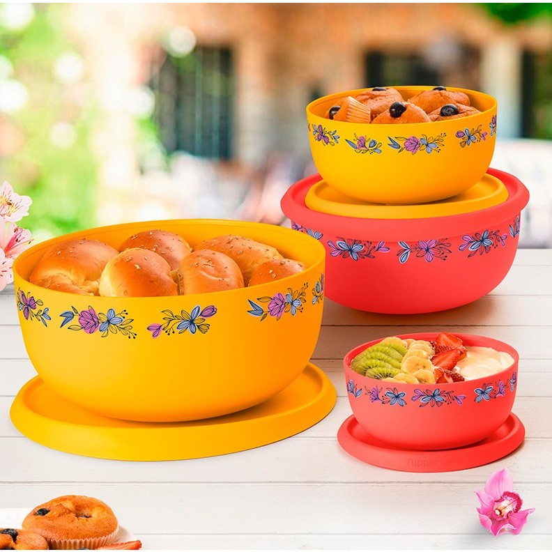 KIT 4 PEÇAS TIGELA TOQUE MÁGICO HIBISCUS - TUPPERWARE | Shopee Brasil
