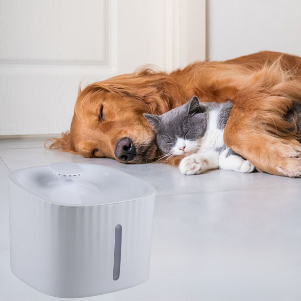 Bebedouro Automático Pet 3L Com Filtro - Fonte Água Gatos E Cães - Branco
