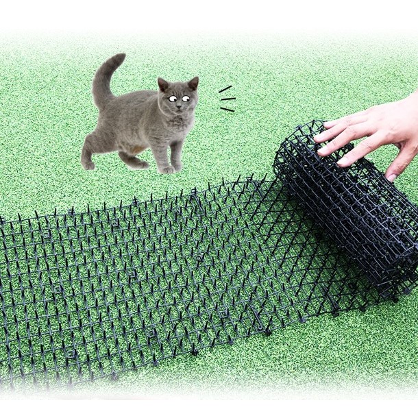 Espícula Inibidor Espanta Gatos e Animais de Estimação