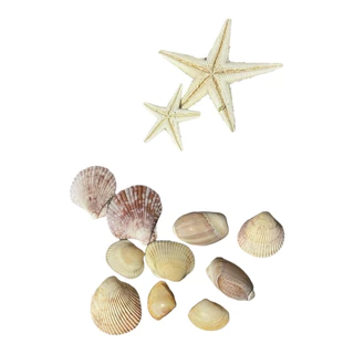 kit conchas e estrela do mar decoração de bolo