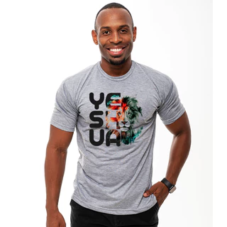 Camiseta Yeshua Leão Várias Cores T-Shirt Camisa Basica Casual Envio em 24h