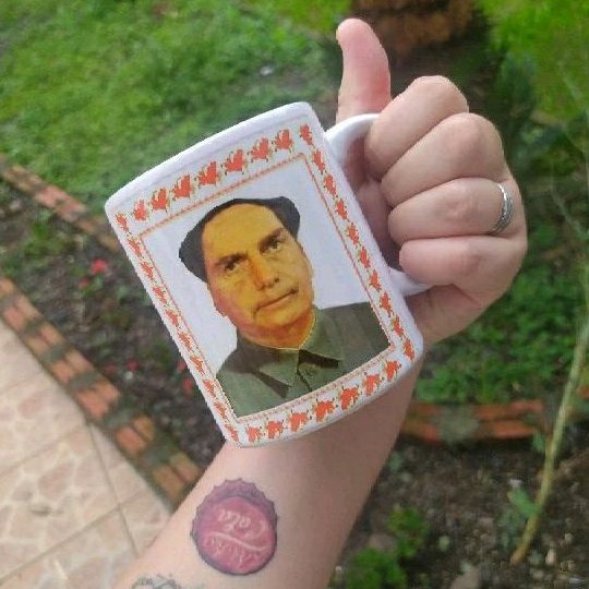 Caneca Bolsotsé, Bolsonaro chinês meme