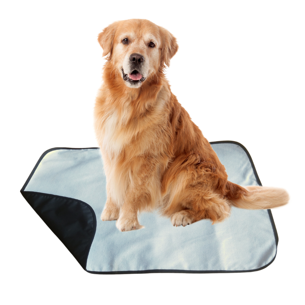 Tapete Higiênico Cachorro Para Cães Lavável Tamanho Grande Maxima ...