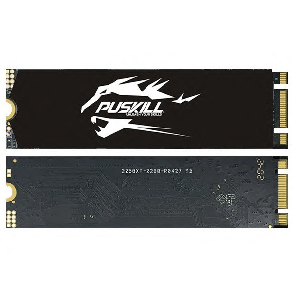Ssd M.2 Puskill 2280 Ngff 3.0x4 -256gb | Shopee Brasil