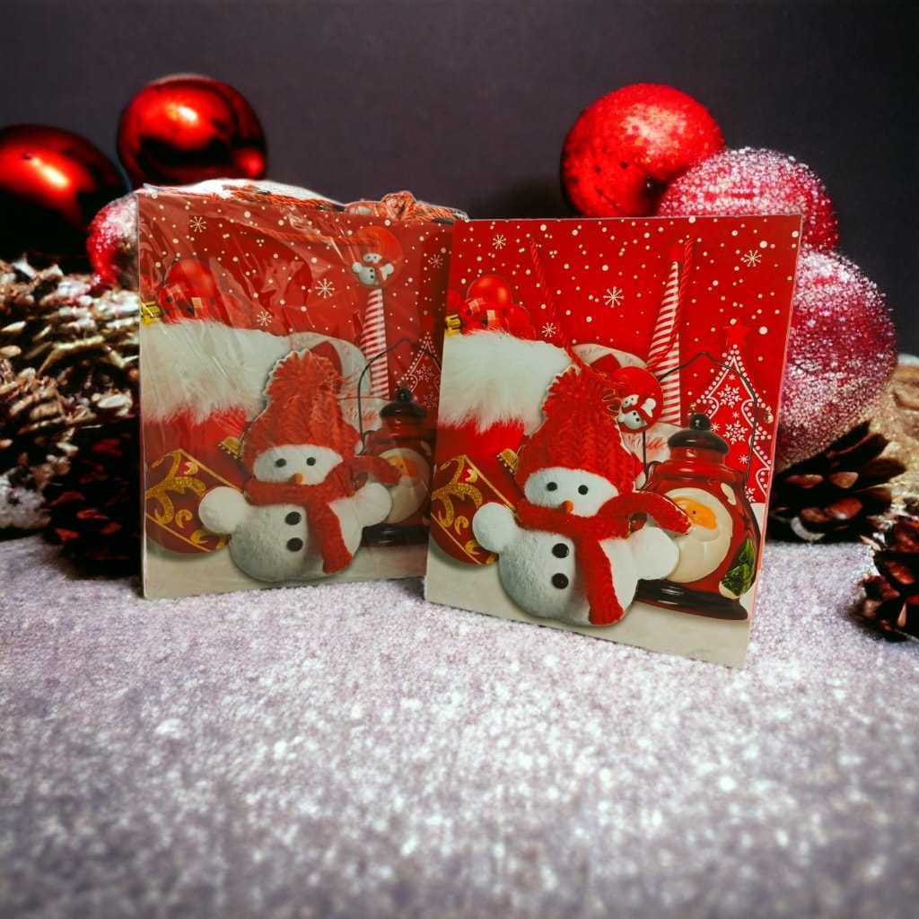 12 SACOLA DE PRESENTE DE NATAL COM DESENHO 3D PEQUENA 18X23CM