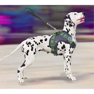 Coleira Stillo Peitoral Cachorros Portes Grandes Médios com Guia Amortecedor