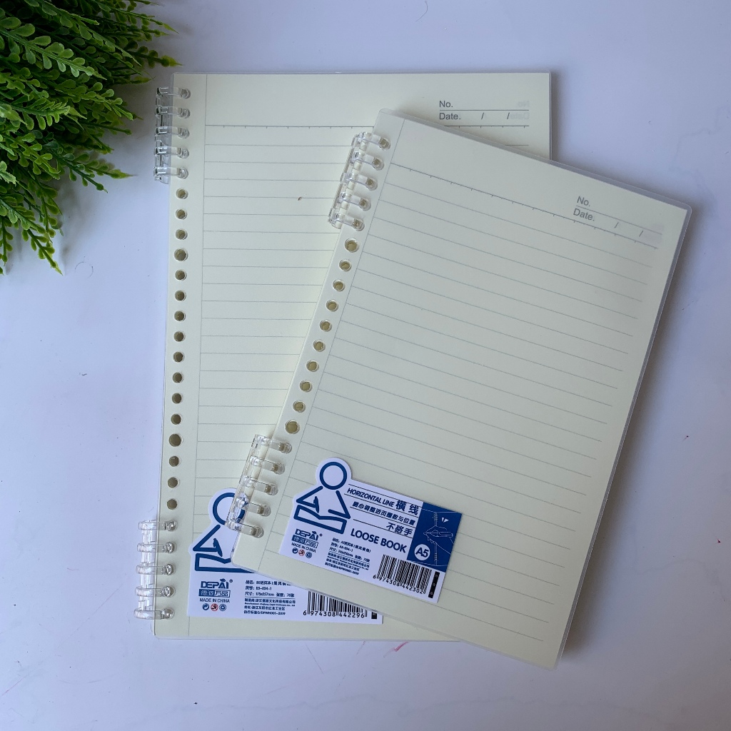 Caderno Pautado Com Espiral Removível - Michael Judi / WX Gift