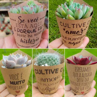 20 Rótulos e Tags Personalizados para suculentas