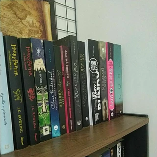 DESAPEGO LIVROS seminovos/nunca lidos: JOGOS VORAZES, HARRY POTTER, O HOBBIT, EM ALGUM LUGAR NAS ESTRELAS, TED BUNDY, LADY KILLERS, DUNA, THE KISS OF DECEPTION
