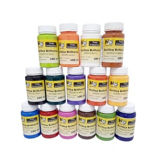 Tinta Acrílica Para Artesanato Kit 100 Ml 15 Cores