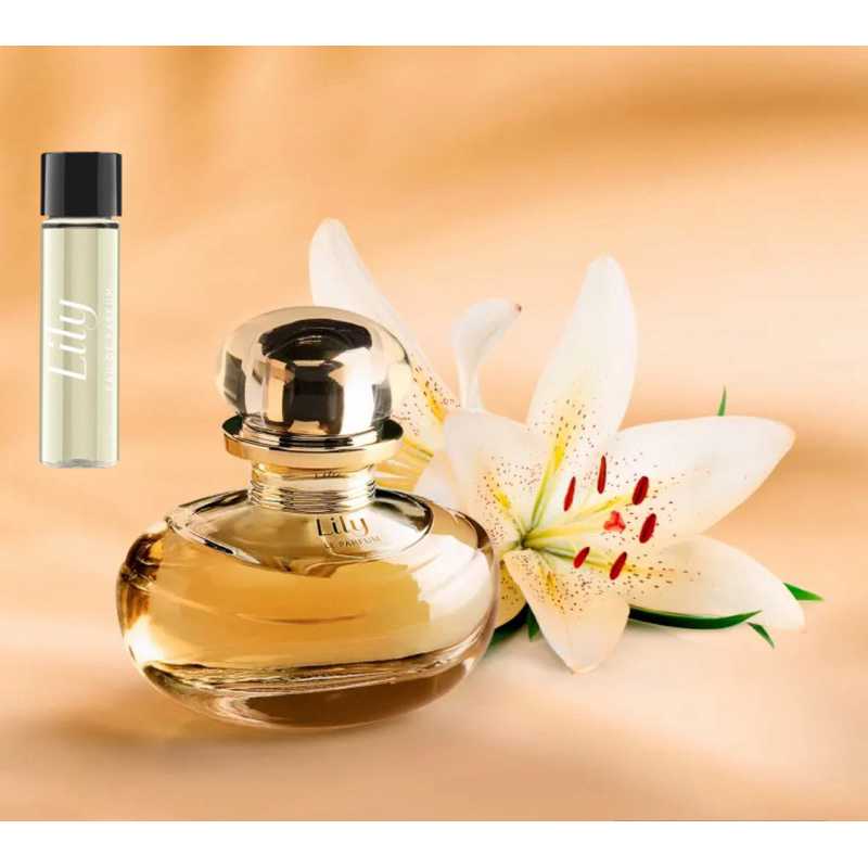 Combo Le Parfum: Perfume 30ml Creme Desodorante Hidratante Para Mãos 50g em  Promoção na Shopee Brasil 2024