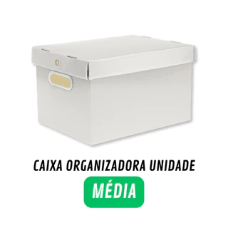 Caixa Organizadora Plástica Média Lisa Com Tampa E Alça