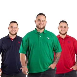 KIT 3 CAMISETA POLO MASCULINA TAMANHO ESPECIAL DIRETO DA FABRICA . br