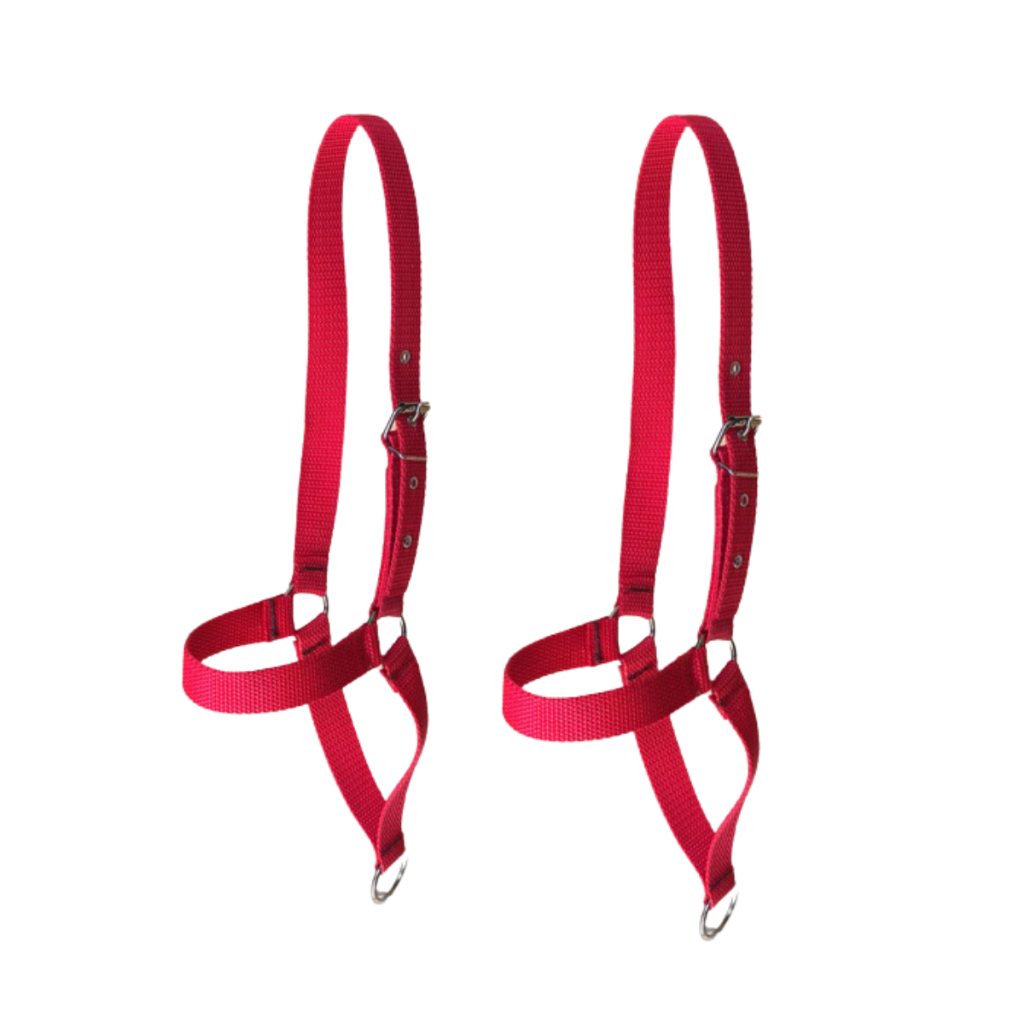 Kit Dois Cabresto De Fita Nylon Regulavel Para Bezerros, Bodes e Vaca