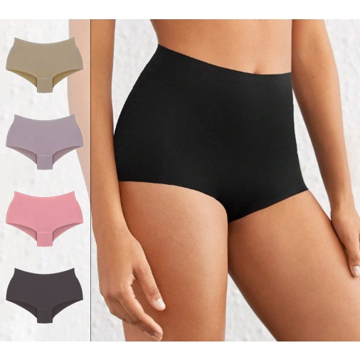 60 Pieces Femina Seamless Full Panty - Womens Panties & Underwear