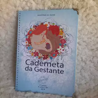 Caderneta da Gestante
