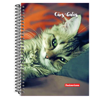 Caderno UNIVERSITARIO 10 Materias 200 ou 160 folhas MAXIMA