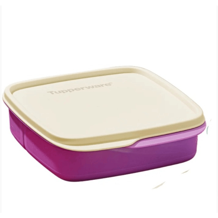 Tupperware Basic Line com Divisórias - 550ml | Shopee Brasil