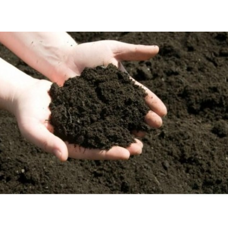 Terra de cemitério consagrado no altar do seu Lúcifer