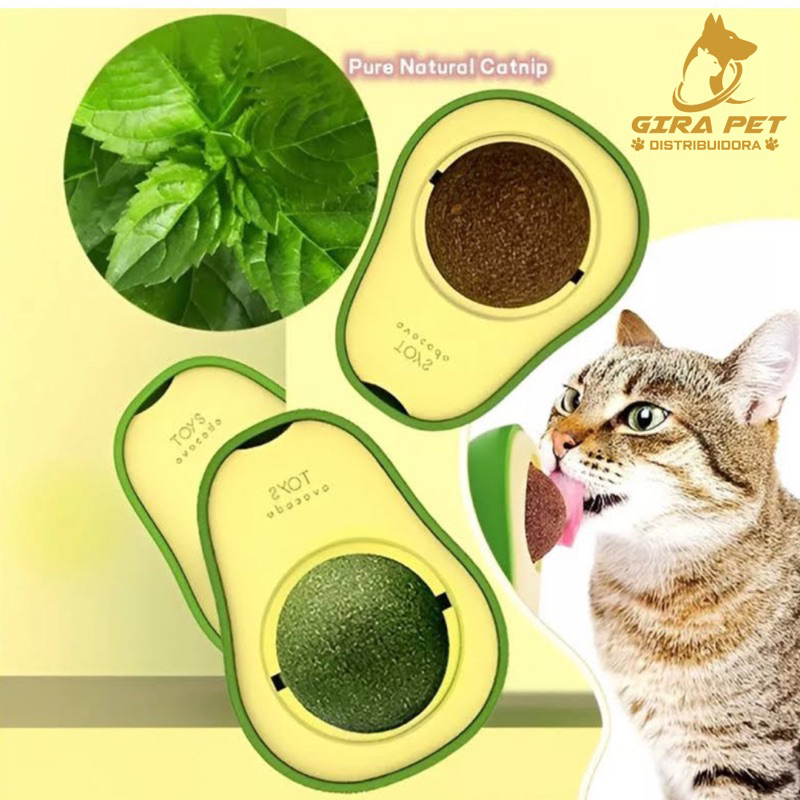 Abacate catnip avocado interativo pirulito vara catnip para limpar os