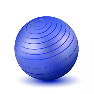 Bola de Pilates Yoga Fitness para Fisioterapia e Ginástica 55cm -  Utilidades RS - Produtos para melhorar a sua vida e o seu bem-estar