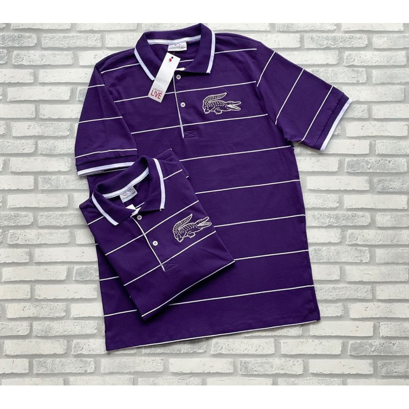 Polo Big roxa, lançamento