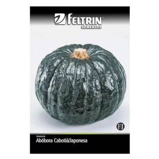 Gracyelle Feltrinさん専用 10 Sementes Amor-perfeito Suiço Feltrin Sementes 1g