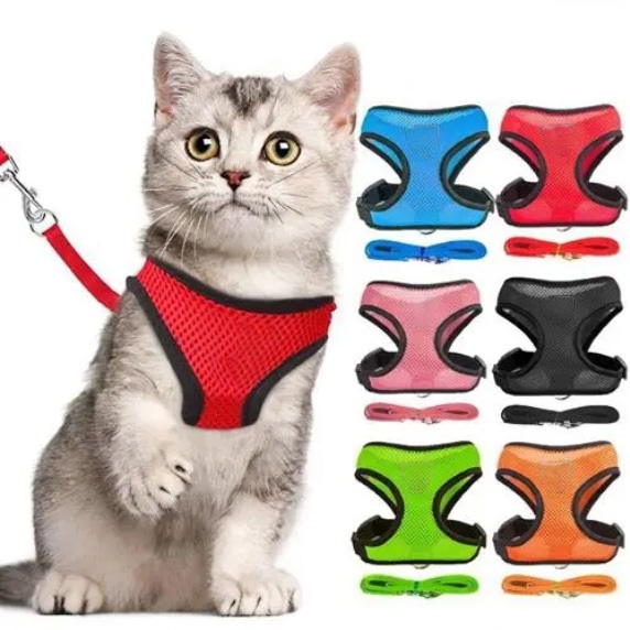 Coleira Peitoral Patrulha pet Minimalista Customizada Ajustável Com Guia EasyWay Gatos e Cachorros